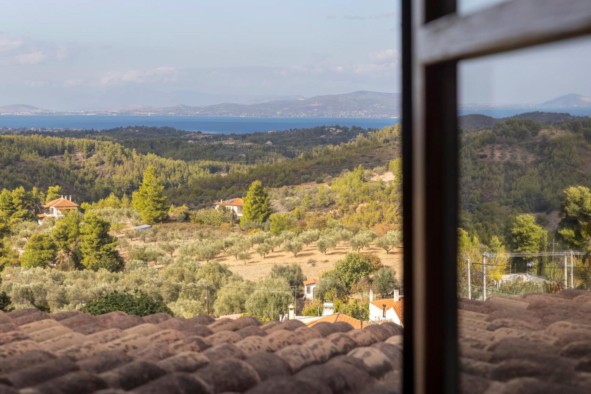 Villa Marrone Splendid Seaview Markopoulon Oropou Eksteriør billede